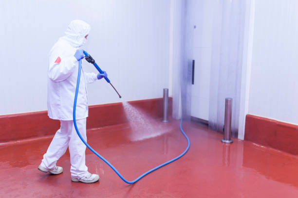 Spring Cleaning in Lakehills, TX