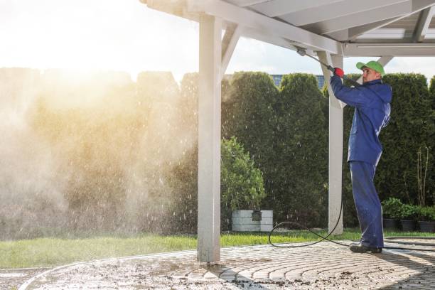 Animal Enclosure Cleaning in Lakehills, TX